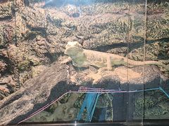 -秦皇岛新澳海底世界