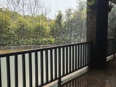 -呀诺达热带雨林
