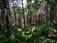 -白草畔自然风景区