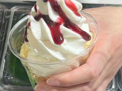 -Salud撒露欧洲冻酸奶(北苑上品店)