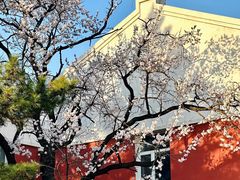 -吉林大学(南岭校区)