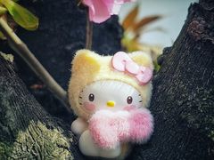 -嘉定紫藤园