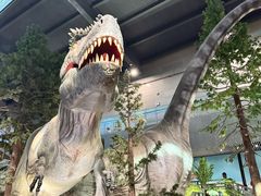 -湖南省地质博物馆