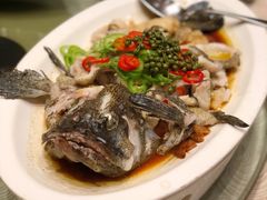 -绿岛国际酒店·海鲜酒楼(八七路店)