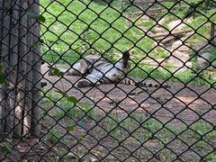 -大连森林动物园