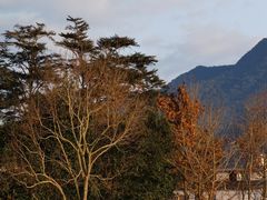 -古田会议纪念馆