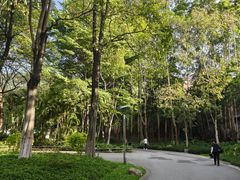-火炉山森林公园