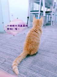 -邵老师打金·黄金加工(大望路总店)