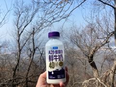 -紫金山山顶公园