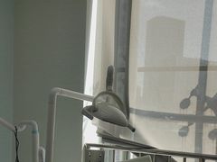 -极光口腔·矫正种植修复(锦江店)