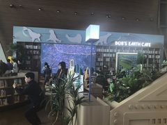 -抱抱地球咖啡馆(国家海洋博物馆店)