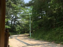 -汉拿树木园