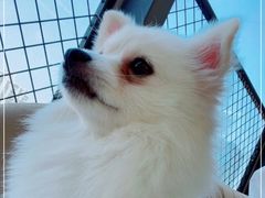 -怪兽屋·羊驼·猫咖·狗咖(俊华广场店)