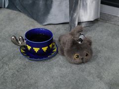 -豆舞咖啡(民乐路店)