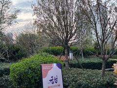 -甜阿姨·天台花园私房菜(万松园店)