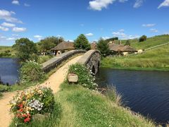 Hobbiton&nbsp;Movie&nbsp;Set&nbsp;Tours-霍比特人村