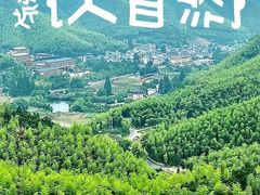 -李东农庄(中南百草园地标店)