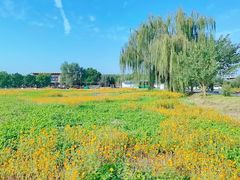 -汉长安城未央宫国家考古遗址公园