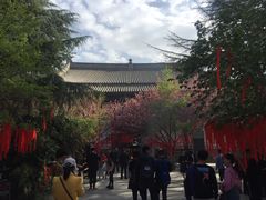 -西安青龙寺遗址景区