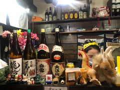 -金龙咖喱