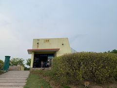 -南汇嘴观海公园