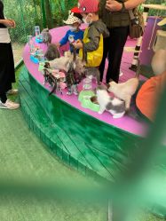 -萌宠亲子动物乐园(槐房万达店)