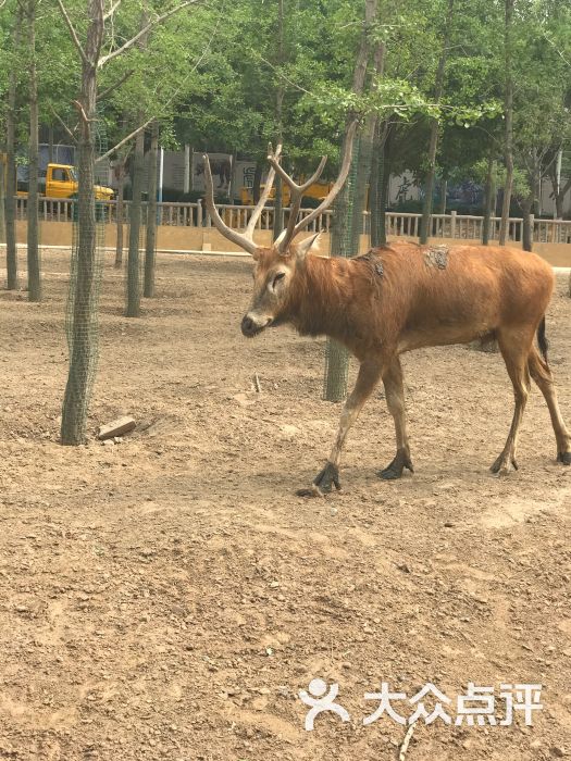 太原動物園圖片 - 第125張