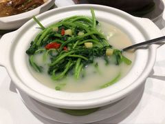 鸡汤茼蒿-唐宫海鲜舫