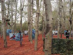 -朝阳公园真人CS