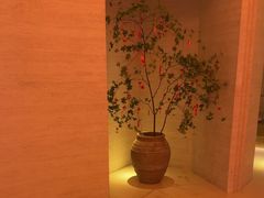 -舒小悦·舒养SPA·古法推拿(光环中心店)