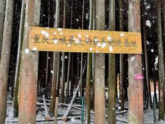 -武陵山森林公园