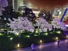 -上海柏悦酒店