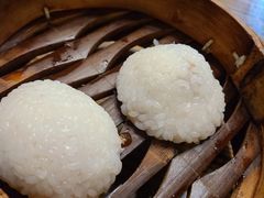 茨毛圆子-双塔老饭店