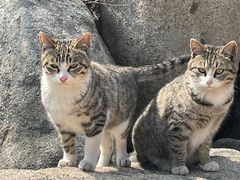 -崂山仰口游览区