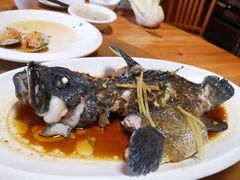 广式蒸石斑鱼-蓝湾碧波·老字号·疍家非遗海上餐厅