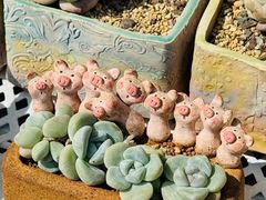 -小意思咖啡店(草桥店)