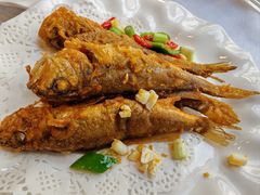 -天天渔港(中山广场店)