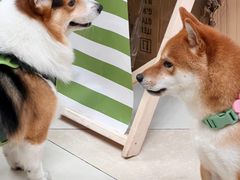 -光启城时尚购物中心