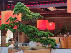 -一斗火锅·招财羊毛肚(泰吉滨江店)
