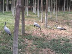 -艾溪湖湿地公园