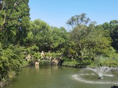 -上海醉白池公园