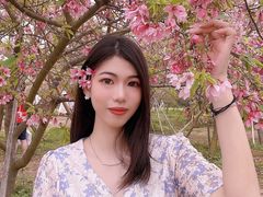 -天适樱花悠乐园