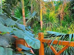 -石家庄市植物园