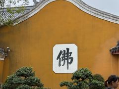 -枣子树·素食餐厅(普陀山店)