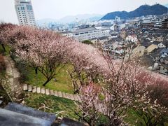 -紫阳古街