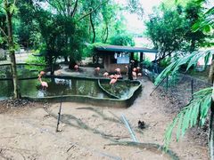 -清迈夜间动物园