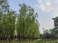 -坝河休闲公园