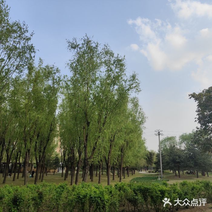 坝河休闲公园图片