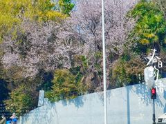 -凯德广场(西城店)
