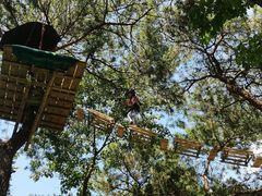 -芦仙山景区-飞越丛林探险乐园